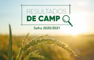 Resultados de Campo - Safra 2018/2019