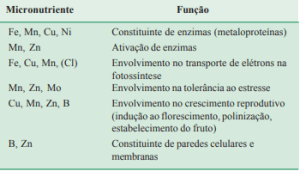 Tabela 1 - Principais funções dos micronutrientes de plantas.