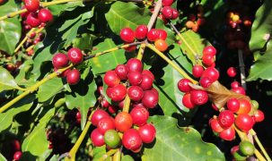 IMG_20240508_095538