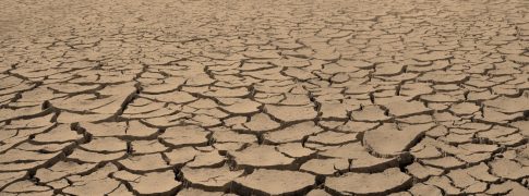 Dried wasteland with cracked brown mud surface. Close up panoram