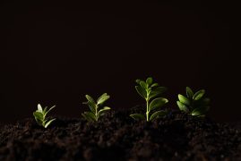Earth Day, Environment and Eco concept, space for text