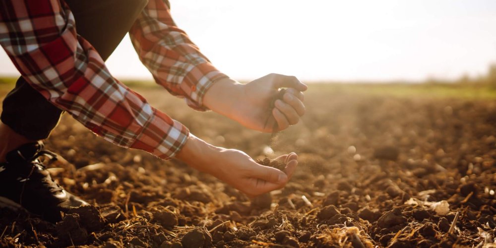 Hand of expert farmer collect soil and checking soil health before growth a seed of vegetable.