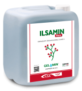 ILSAMIN Boro