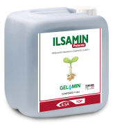 ILSAMIN Potente
