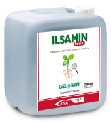 ILSAMIN Radix