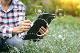 A digitalização da agricultura