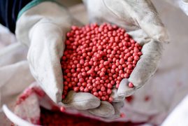 Importância do tratamento de sementes na produtividade das culturas