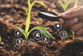 A man's hand is using a magnifying glass to illuminate a seedling of corn, and a technology icon is all around.