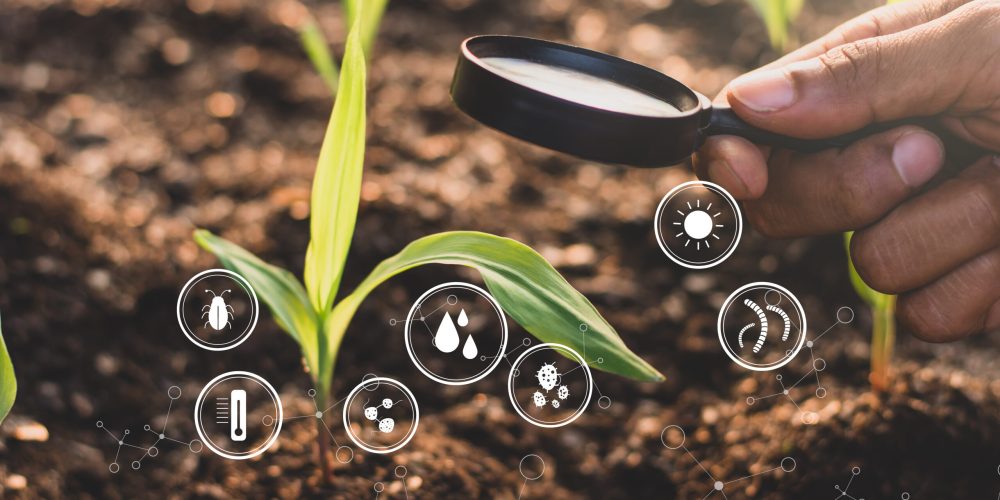 A man's hand is using a magnifying glass to illuminate a seedling of corn, and a technology icon is all around.