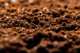 The texture of the macro ground