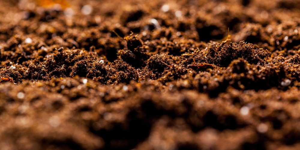 The texture of the macro ground