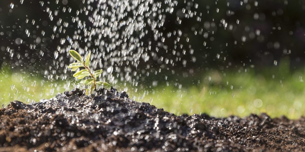 water-falling-plant